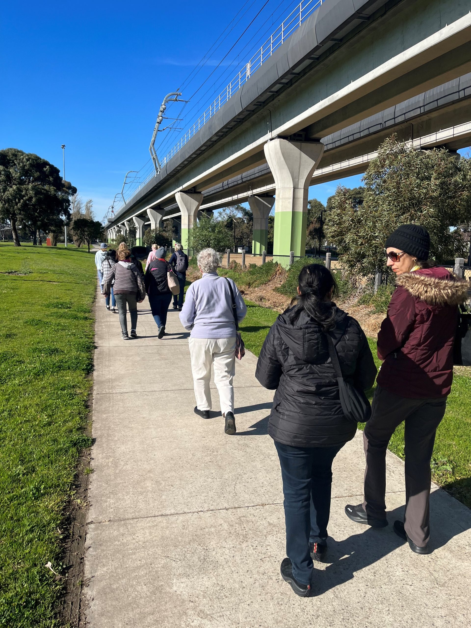 Walks for Carers